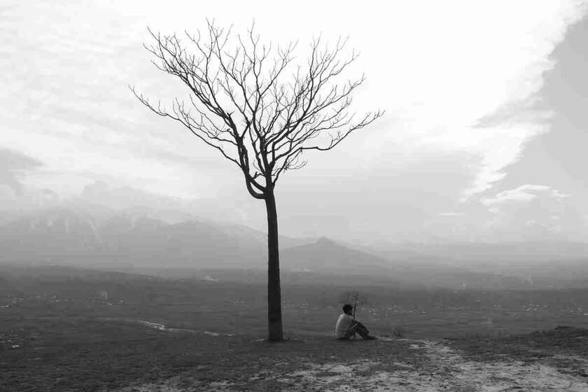 衣服进价35卖110会贵吗?本月进价是110元